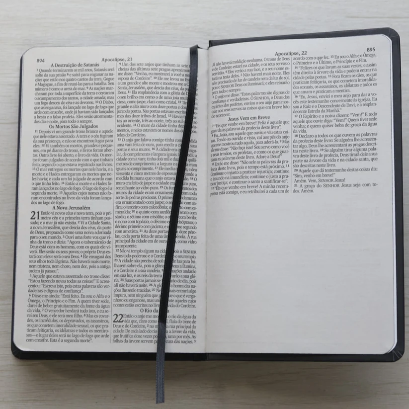 Bíblia Sagrada Ele Vive
