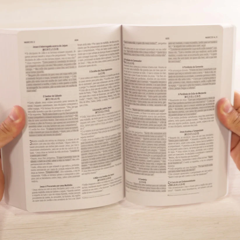 Bíblia Sagrada Nada Será Capaz