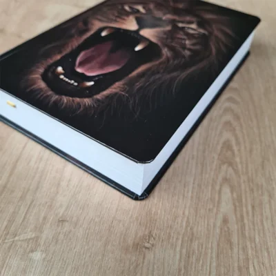 Bíblia Sagrada Leão Forte