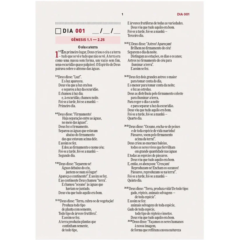 Bíblia Todo Dia com Espaço para Anotações | Capa Dura Marrom