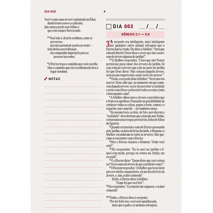 Bíblia Todo Dia com Espaço para Anotações | Capa Dura Marrom