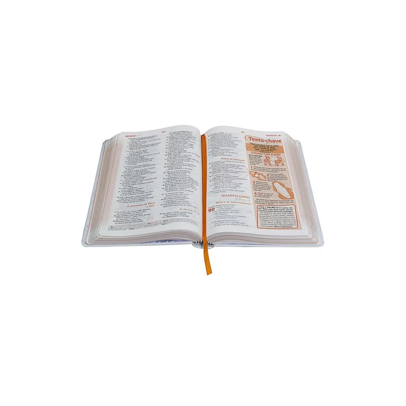 A Bíblia das Descobertas | Meninas