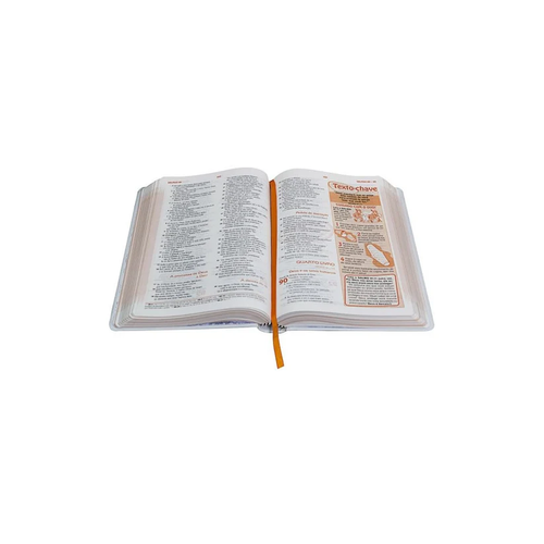 A Bíblia das Descobertas | Meninas