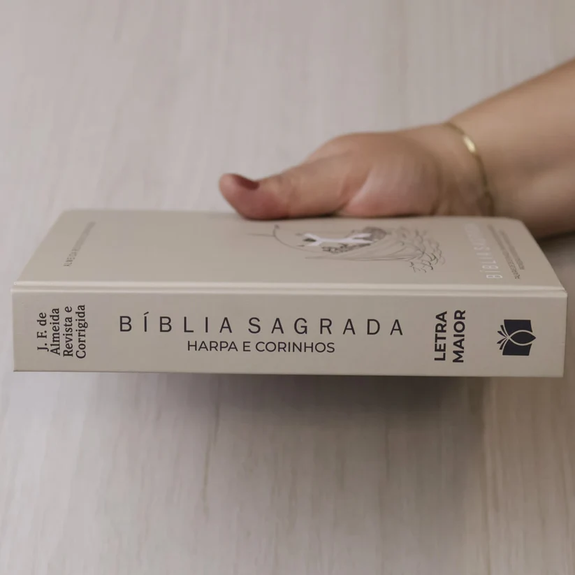 Bíblia Sagrada Jesus no Barco