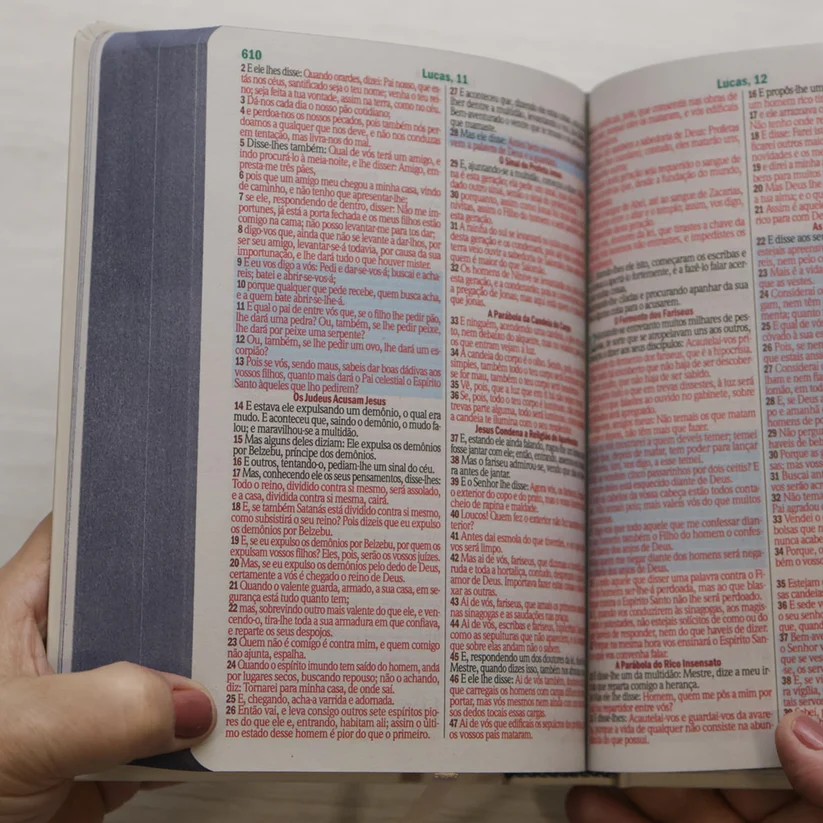 Bíblia Sagrada Jesus no Barco